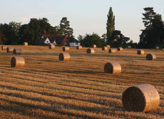 ../Images/09 img_9799 bales.jpg